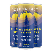 NorthCannaCo Blueberry Citrus Higher Vibes Seltzer (4 pack)